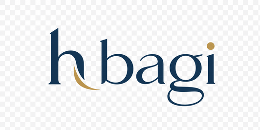 h bagi logo